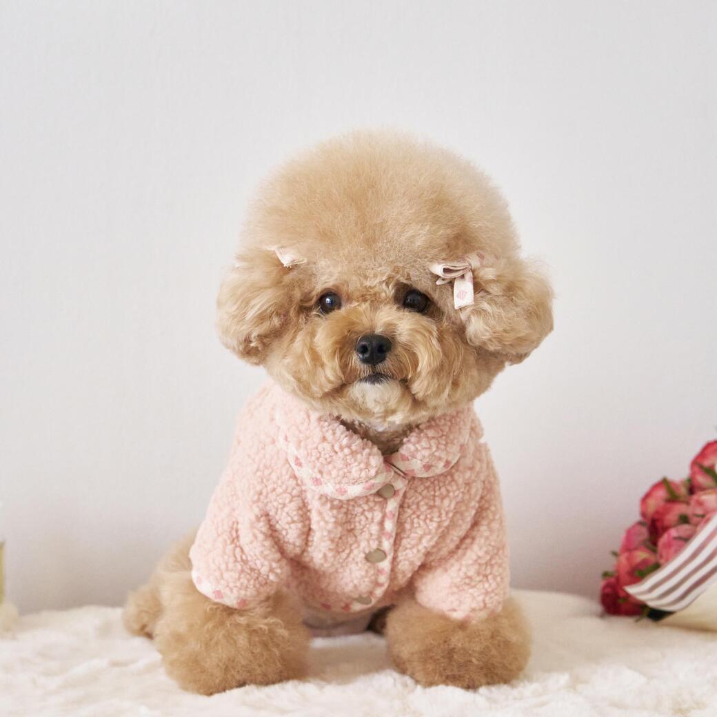 Teddy fuzzy coat Pink 테디 퍼지 코트 핑크